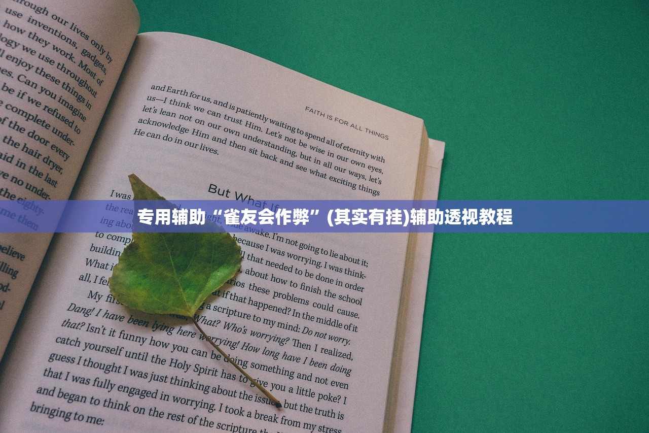 专用辅助“雀友会作弊	”(其实有挂)辅助透视教程