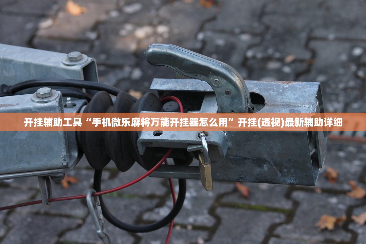 开挂辅助工具“手机微乐麻将万能开挂器怎么用”开挂(透视)最新辅助详细
