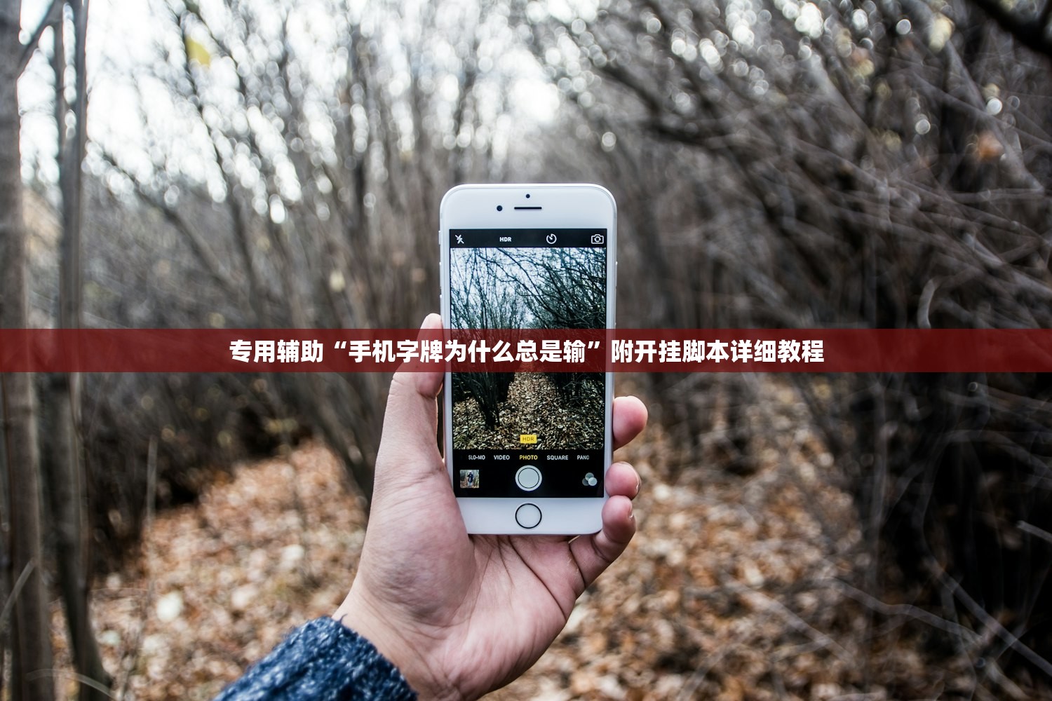 专用辅助“手机字牌为什么总是输”附开挂脚本详细教程
