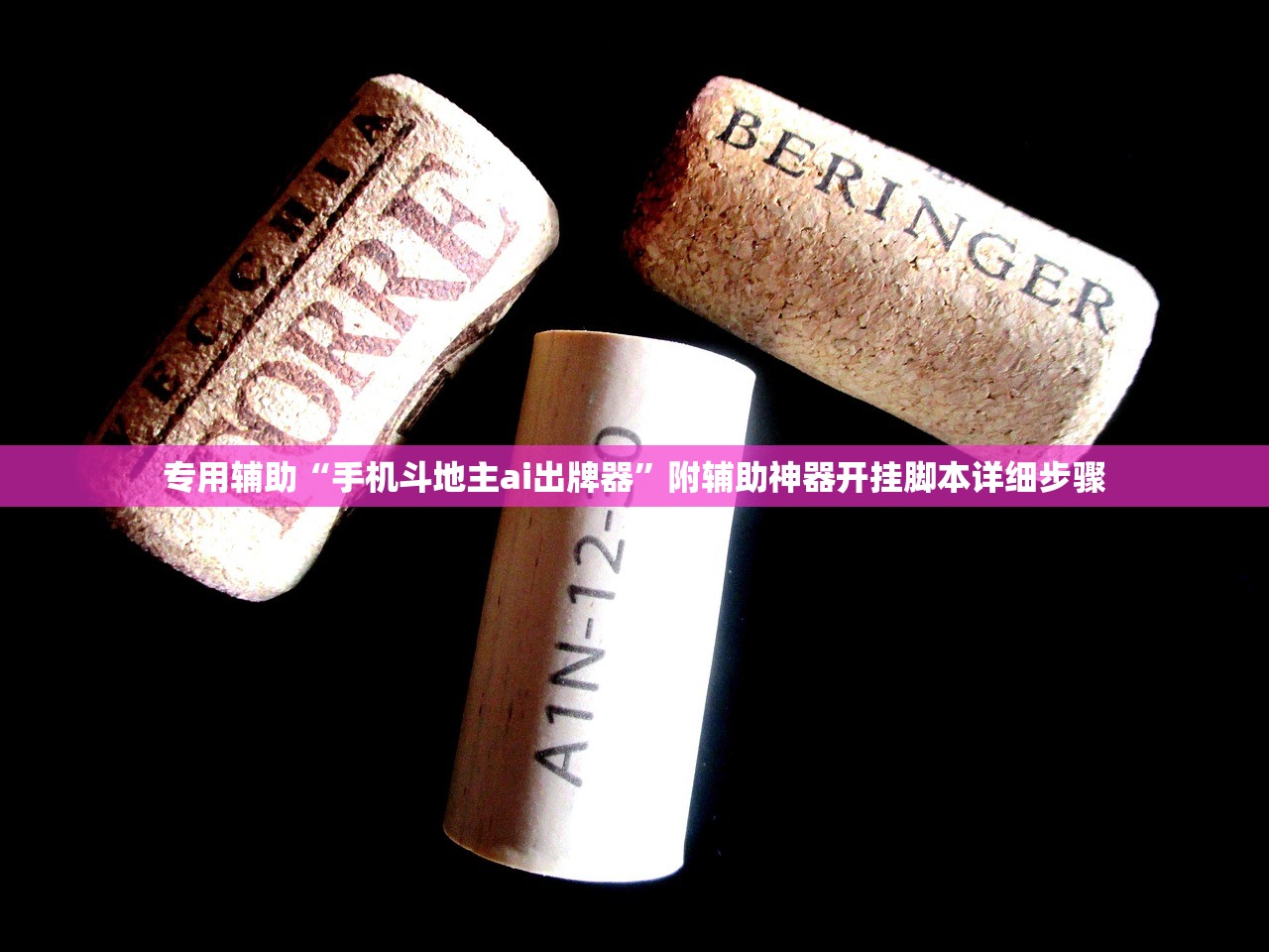 专用辅助“手机斗地主ai出牌器”附辅助神器开挂脚本详细步骤