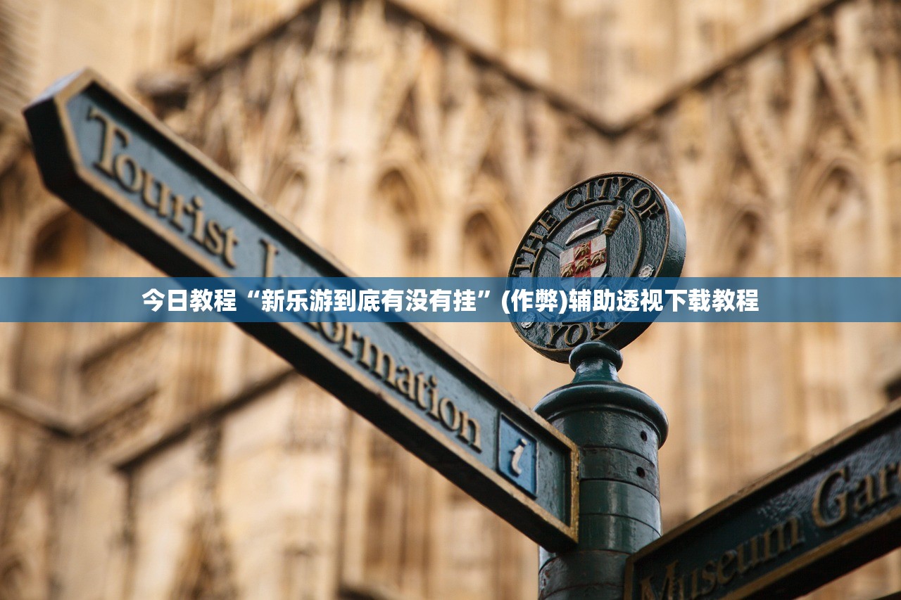 今日教程“新乐游到底有没有挂”(作弊)辅助透视下载教程