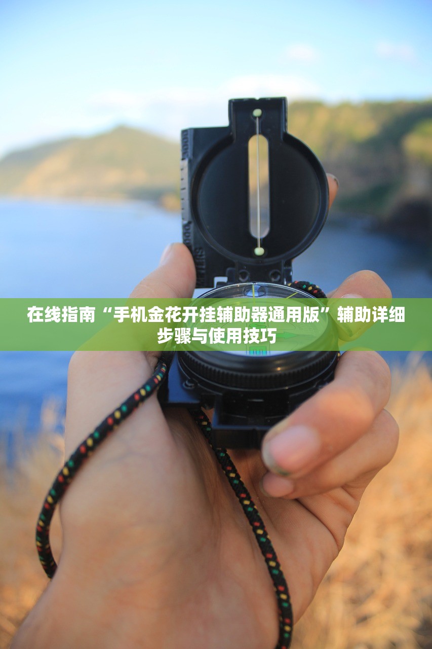 在线指南“手机金花开挂辅助器通用版	”辅助详细步骤与使用技巧