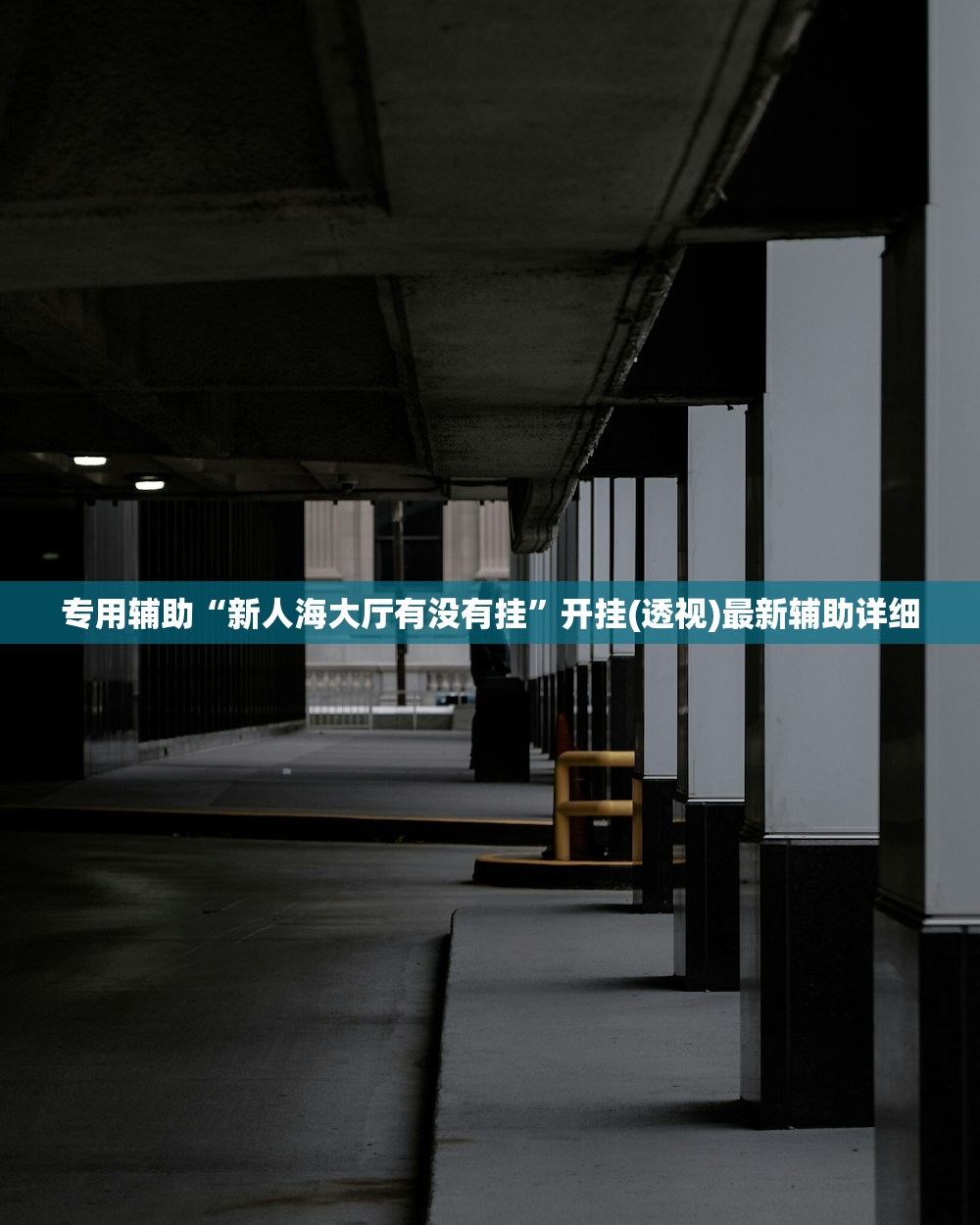 专用辅助“新人海大厅有没有挂”开挂(透视)最新辅助详细