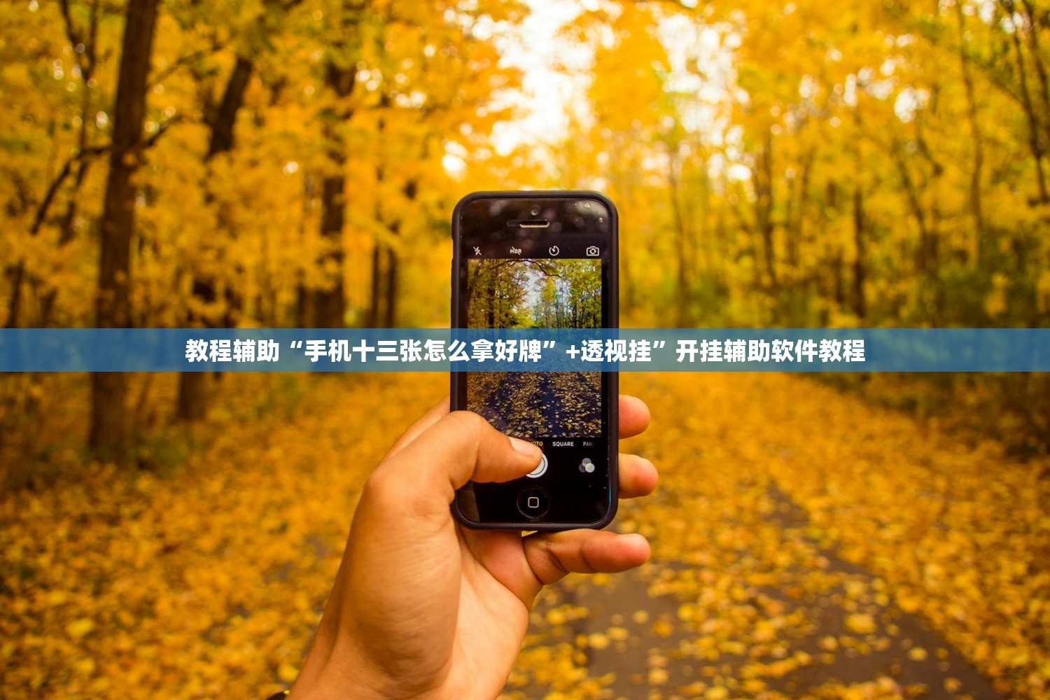 教程辅助“手机十三张怎么拿好牌”+透视挂”开挂辅助软件教程