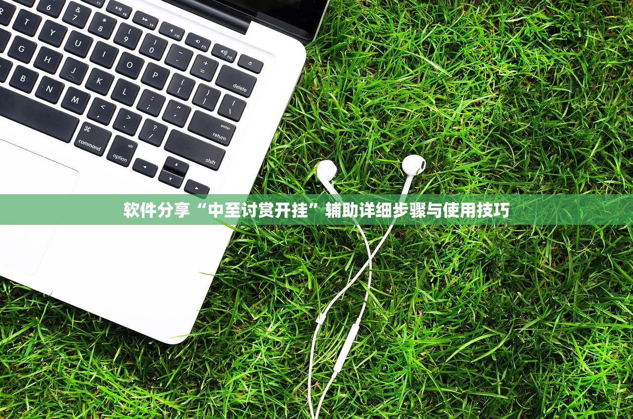 软件分享“中至讨赏开挂”辅助详细步骤与使用技巧
