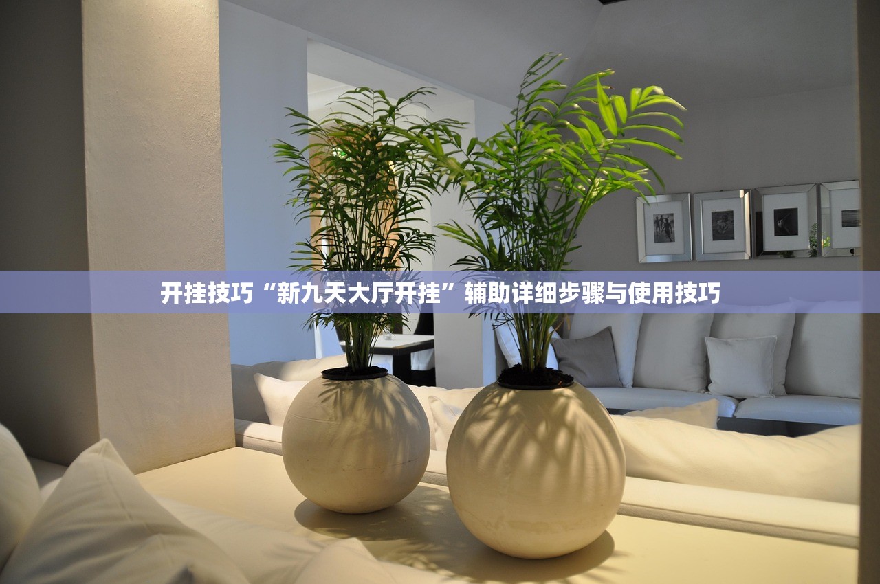 开挂技巧“新九天大厅开挂”辅助详细步骤与使用技巧